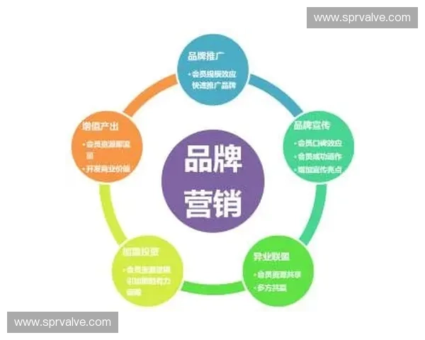 全面解析内容策划的核心要素与实践方法，助力品牌营销成功