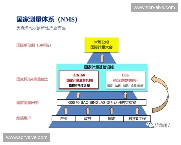 新时代体育管理体系创新与全民健身高质量发展路径研究探索