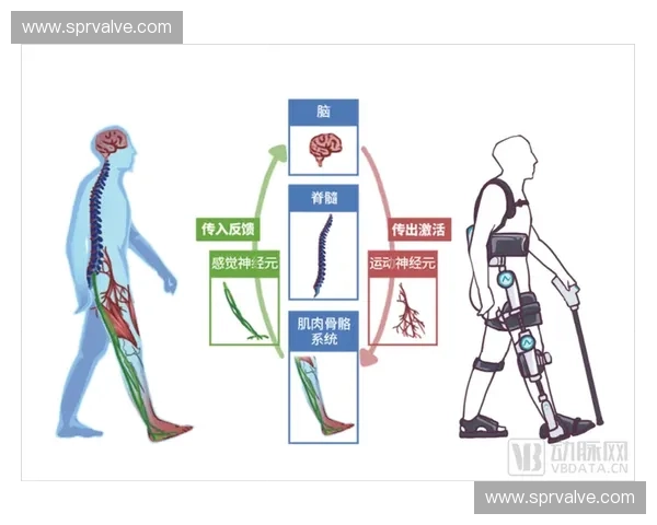 以运动康复为核心的功能重建与健康促进综合发展路径研究创新实践探索