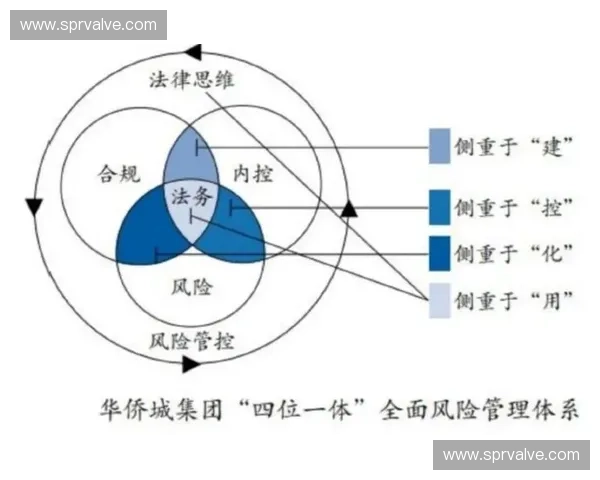 体育法务视角下中国体育产业合规治理与风险防控研究发展路径探索