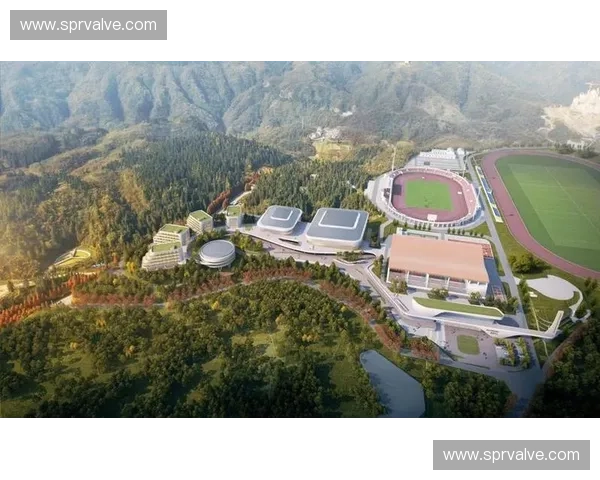 体育代理行业新机遇探索：如何打造多元化发展模式提升市场竞争力