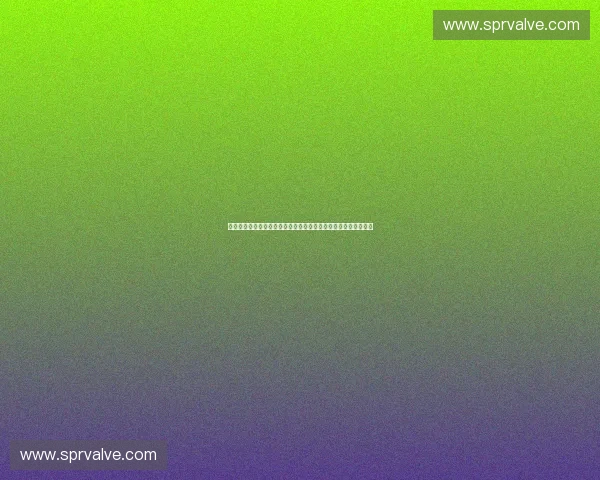 以用户感受为核心的全链路体育体验优化创新路径探索与实践研究