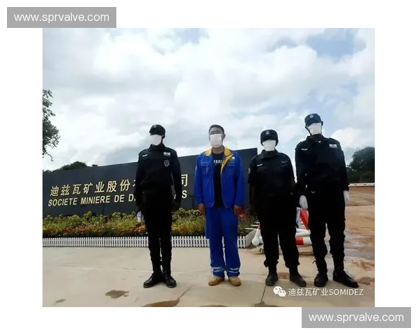 大型活动入场秩序管理与安全保障优化策略研究 大型活动入场秩序管理与安全保障优化策略研究