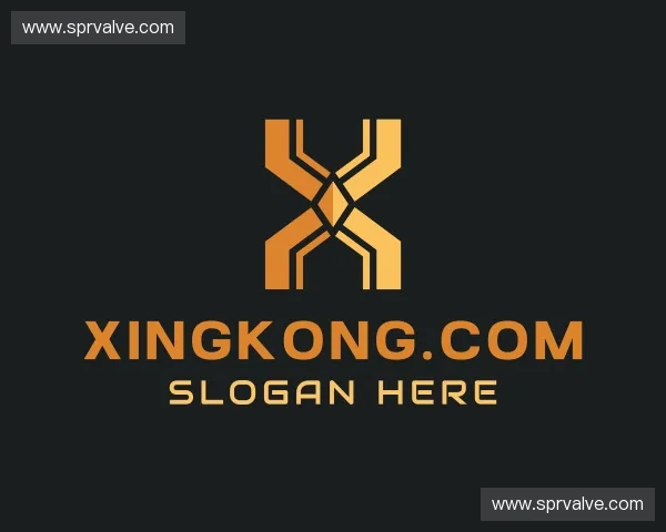 发现xingkong.com